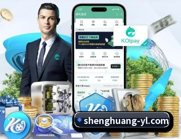 盛煌娱乐 APP 深度功能
